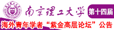 扒开粉嫩小泬动太视频南京理工大学第十四届海外青年学者紫金论坛诚邀海内外英才！